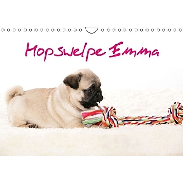 Mopswelpe Emma (Wandkalender 2015 DIN A4 quer), Sophie Tiller