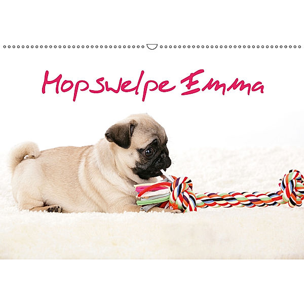 Mopswelpe Emma (Wandkalender 2019 DIN A2 quer), Sophie Tiller