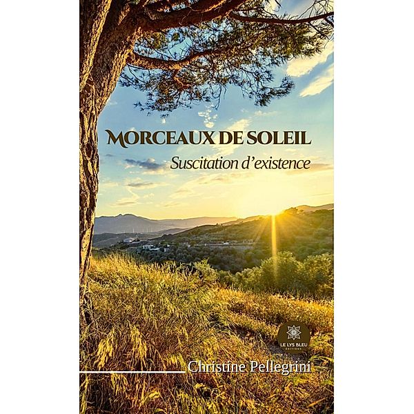 Morceaux de soleil, Christine Pellegrini