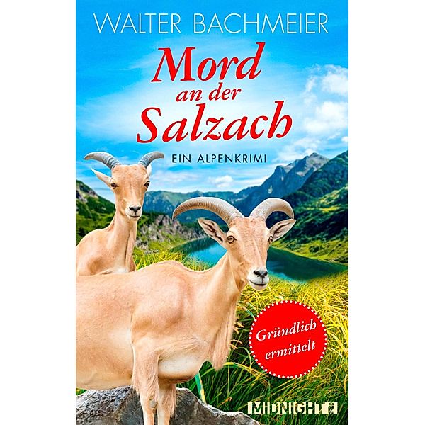 Mord an der Salzach / Tina Gründlich Bd.2, Walter Bachmeier