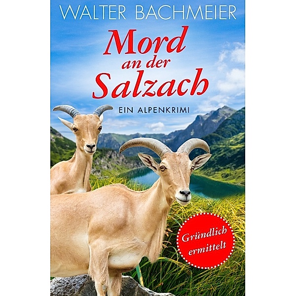 Mord an der Salzach / Tina Gründlich Bd.2, Walter Bachmeier