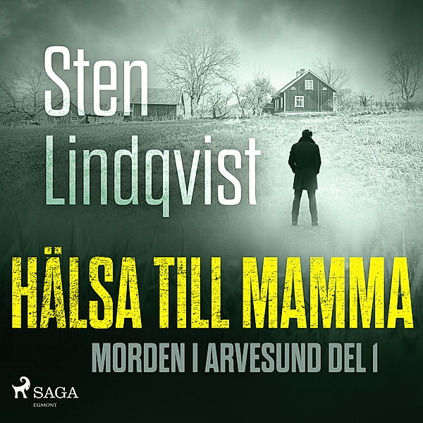 Morden i Arvesund - 1 - Hälsa till mamma, Sten Lindqvist