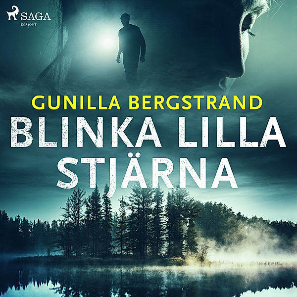 Morden i Dalarna - 1 - Blinka lilla stjärna, Gunilla Bergstrand