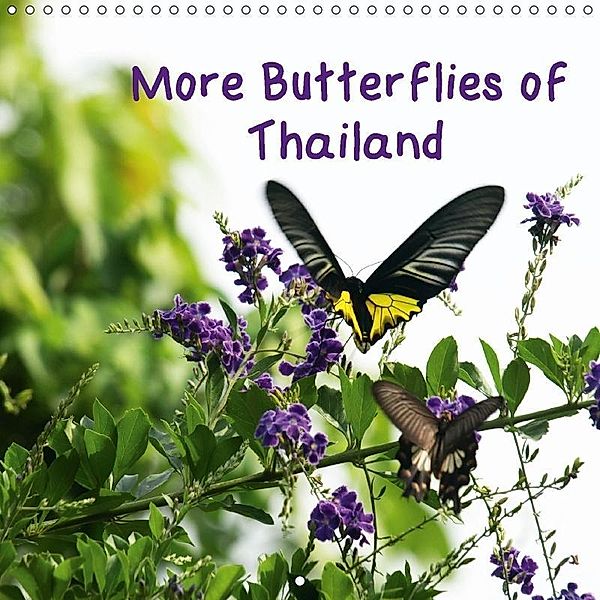 More Butterflies of Thailand (Wall Calendar 2017 300 × 300 mm Square), Mike Moran