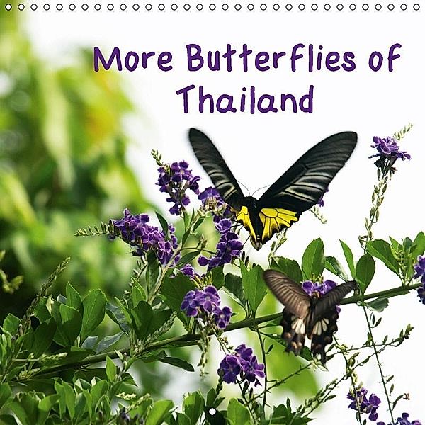 More Butterflies of Thailand (Wall Calendar 2018 300 × 300 mm Square), Mike Moran