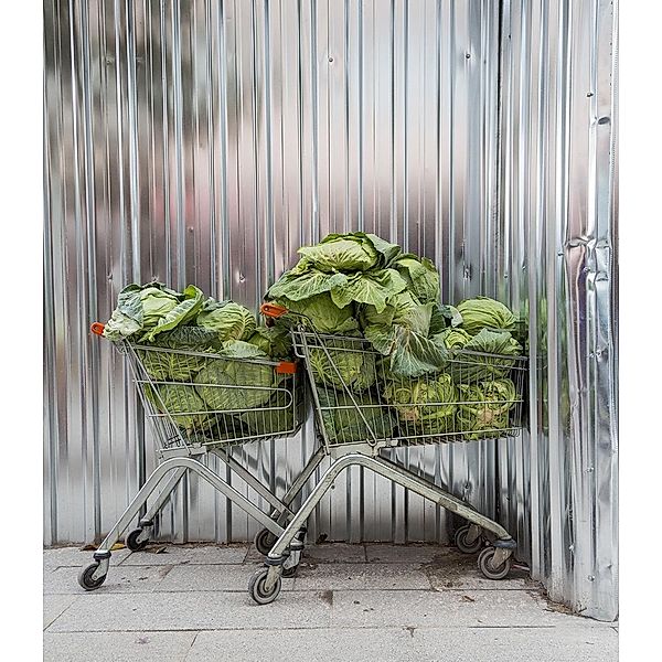 More Cars, Clothes and Cabbages, Torsten Schumann