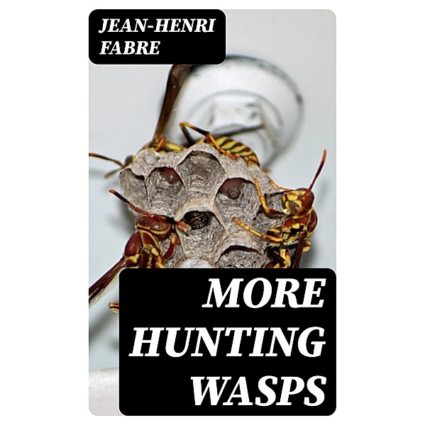 More Hunting Wasps, Jean-Henri Fabre