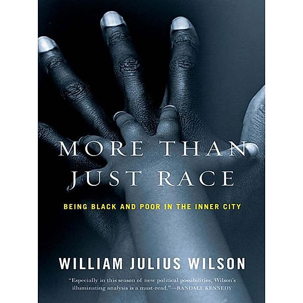 More than Just Race: Being Black and Poor in the Inner City (Issues of Our Time) / Issues of Our Time Bd.0, William Julius Wilson