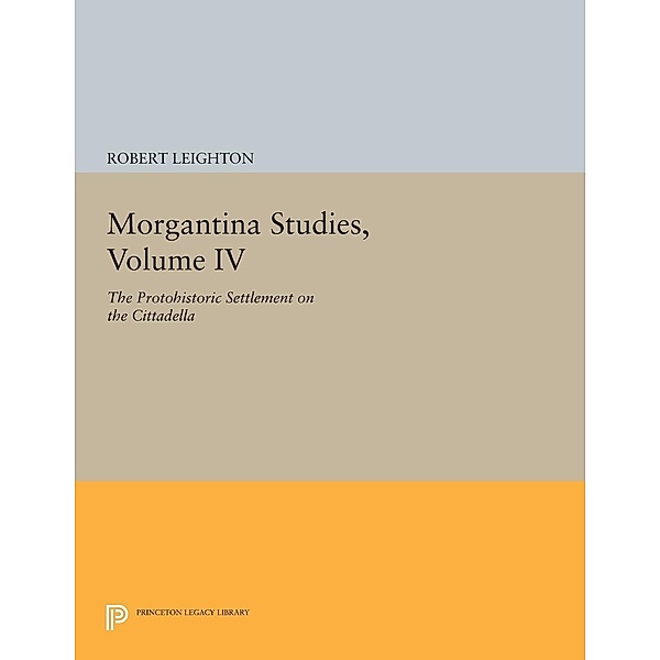 Morgantina Studies, Volume IV / Princeton Legacy Library Bd.250, Robert Leighton