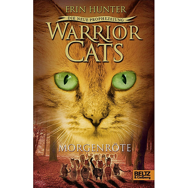 Morgenröte / Warrior Cats Staffel 2 Bd.3, Erin Hunter