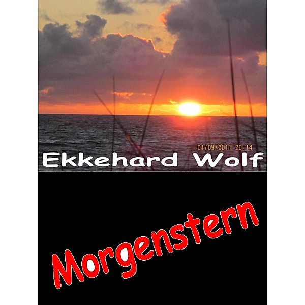 Morgenstern / Europakrimi Schattenmann Bd.2, Ekkehard Wolf