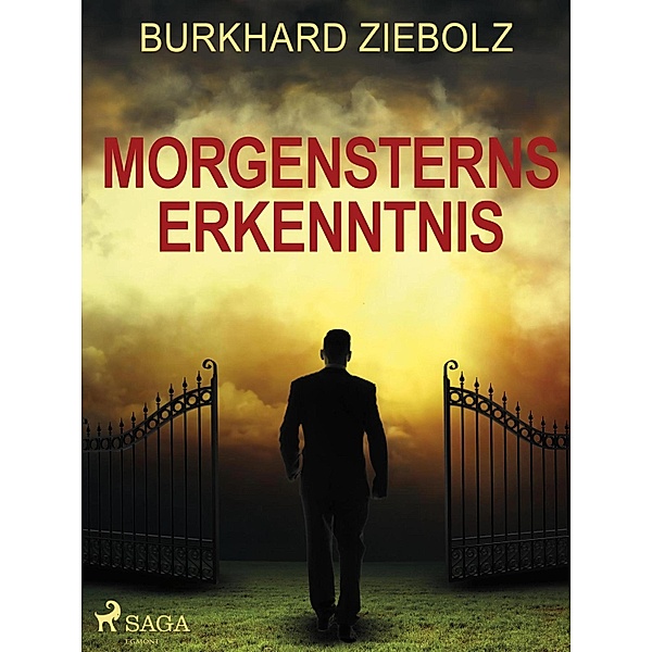 Morgensterns Erkenntnis - Kriminalroman aus Niedersachsen, Burkhard Ziebolz