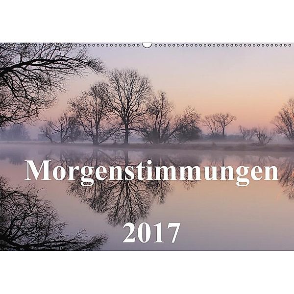 Morgenstimmungen 2017 (Wandkalender 2017 DIN A2 quer), Jörg Hennig