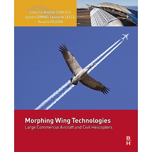 Morphing Wing Technologies