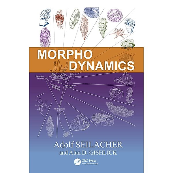 Morphodynamics, Adolf Seilacher, Alan D. Gishlick