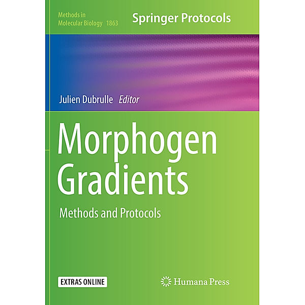 Morphogen Gradients