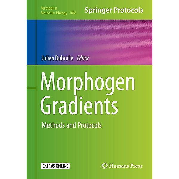 Morphogen Gradients / Methods in Molecular Biology Bd.1863