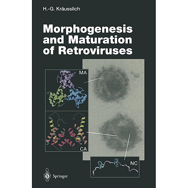 Morphogenesis and Maturation of Retroviruses / Current Topics in Microbiology and Immunology Bd.214