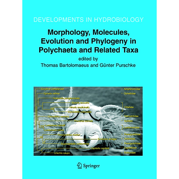 Morphology, Molecules, Evolution and Phylogeny in Polychaeta and Related Taxa