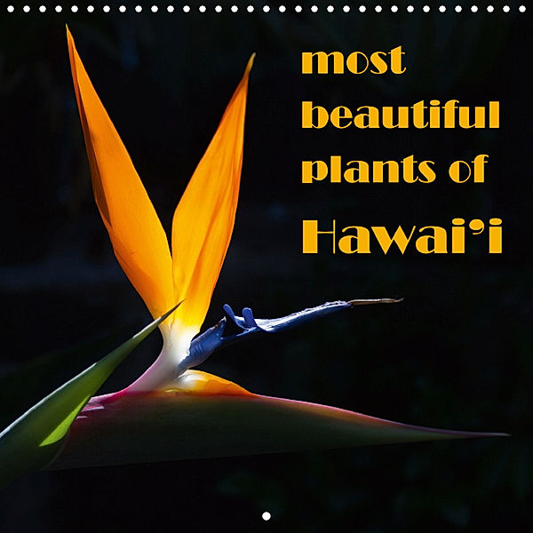 most beautiful plants of Hawai'i (Wall Calendar 2019 300 × 300 mm Square), Rudolf Friederich