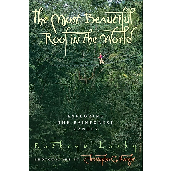 Most Beautiful Roof in the World / Clarion Books, Kathryn Lasky