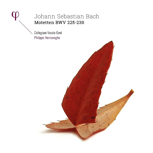 Motetten Bwv 225-230 (Vinyl), Philippe Herreweghe, Collegium Vocale Gent