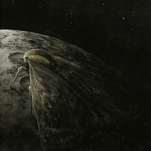 Moth And The Moon, Augrimmer
