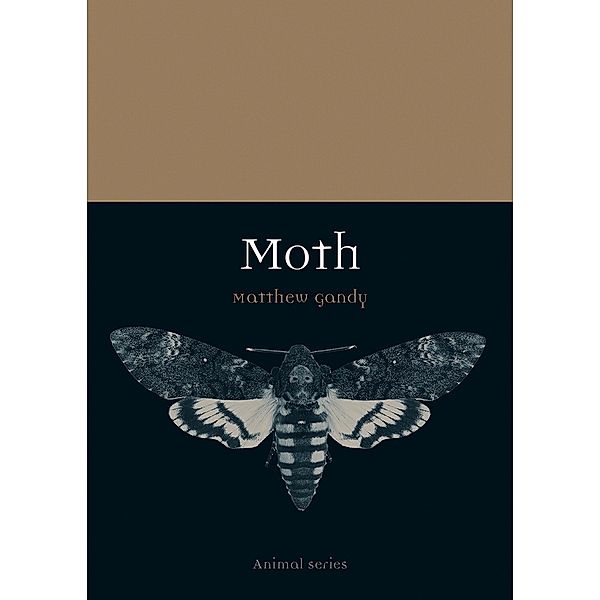 Moth / Animal, Gandy Matthew Gandy