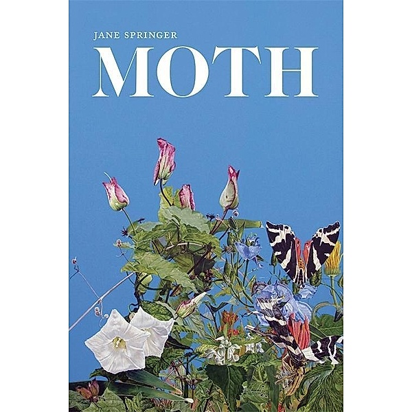 Moth / Southern Messenger Poets, Jane Springer