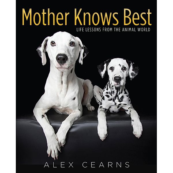 Mother Knows Best, Alex Cearns