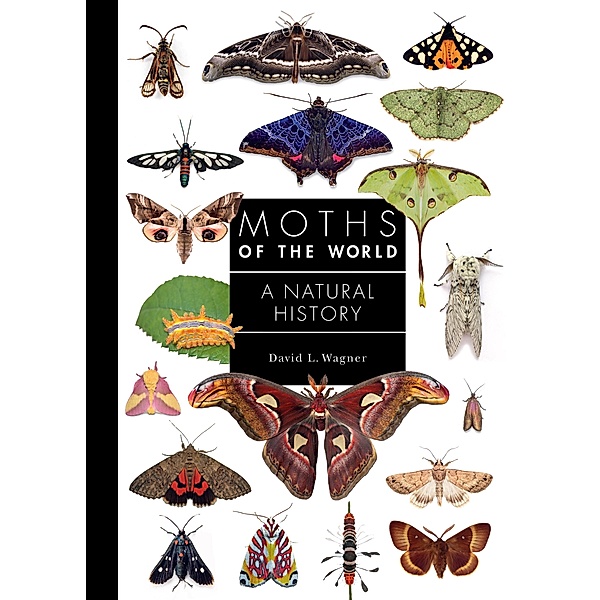 Moths of the World / A Guide to Every Family Bd.11, David Wagner