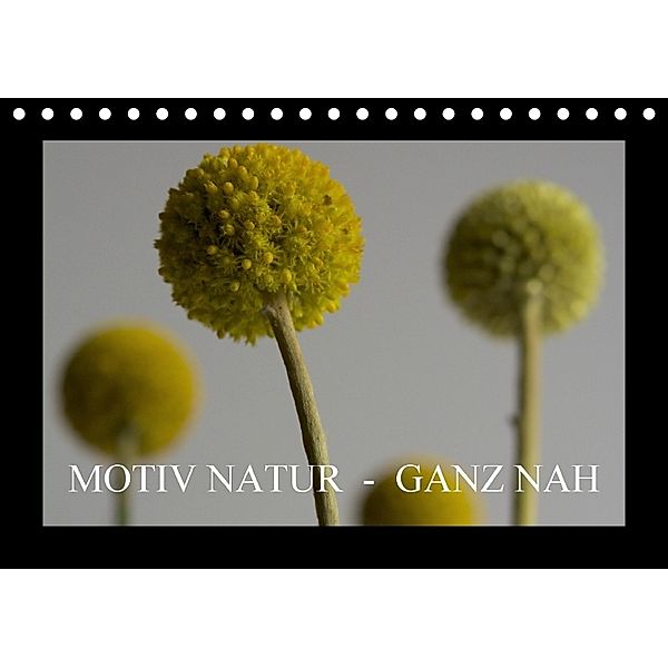 Motiv Natur - Ganz nah (Tischkalender 2018 DIN A5 quer), by b.rit