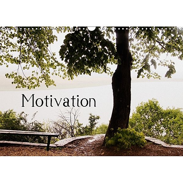 Motivational Quotes Driamond: Dream Ambition Motivation (Wall Calendar 2018 DIN A3 Landscape), Clarissa Itschert