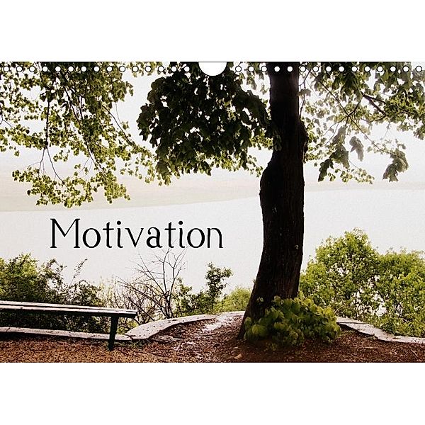 Motivational Quotes Driamond: Dream Ambition Motivation (Wall Calendar 2017 DIN A4 Landscape), Clarissa Itschert