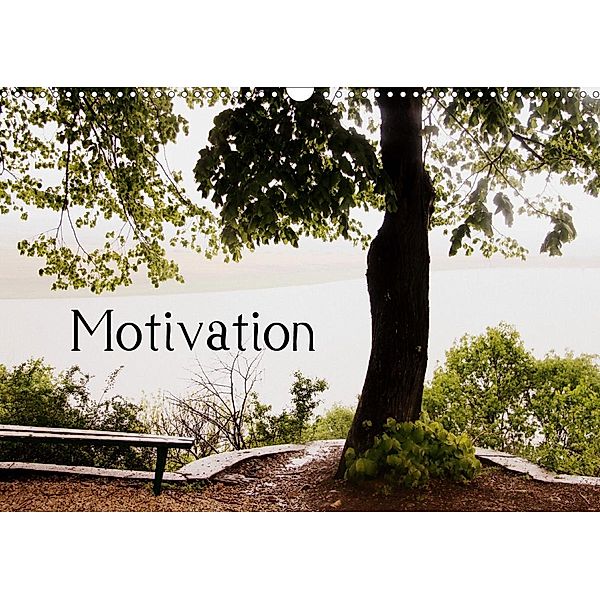 Motivational Quotes Driamond: Dream Ambition Motivation (Wall Calendar 2021 DIN A3 Landscape), Clarissa Itschert