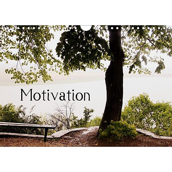 Motivational Quotes Driamond: Dream Ambition Motivation (Wall Calendar 2021 DIN A4 Landscape), Clarissa Itschert