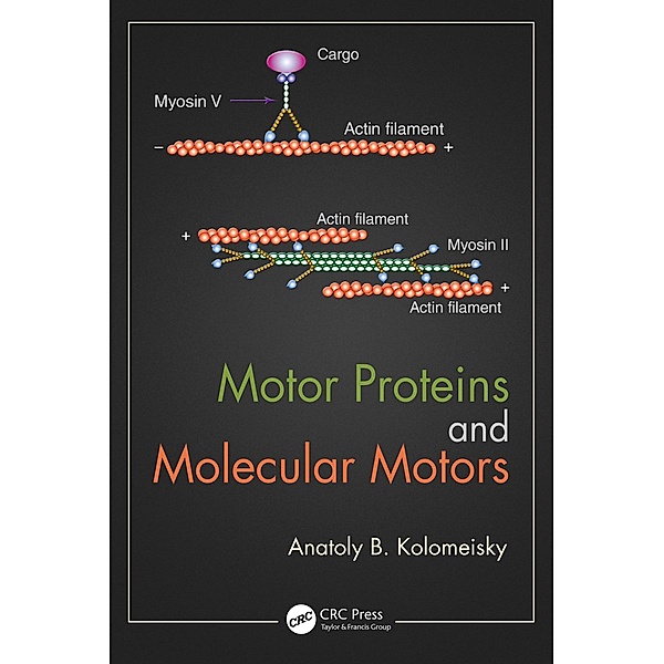 Motor Proteins and Molecular Motors, Anatoly B. Kolomeisky