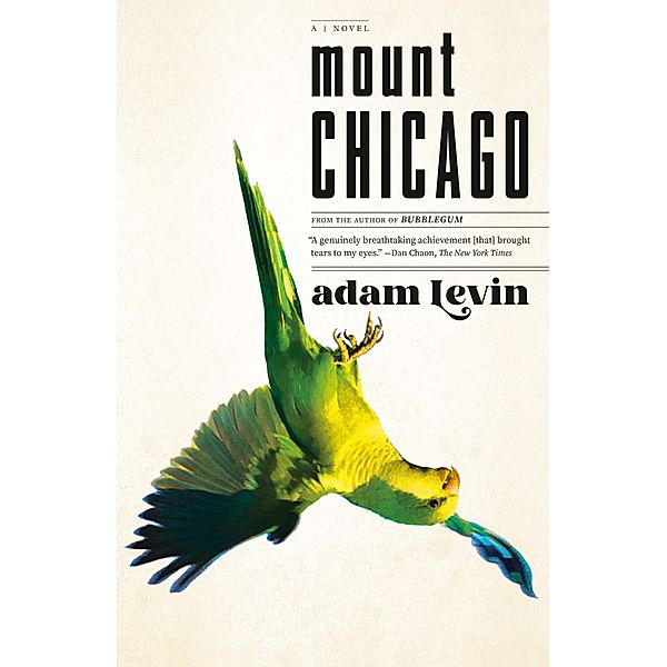 Mount Chicago, Adam Levin