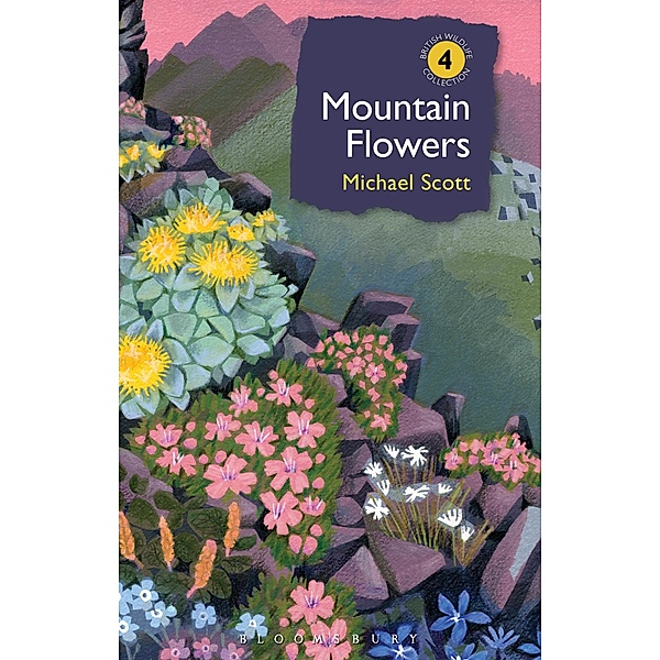 Mountain Flowers, Michael Scott