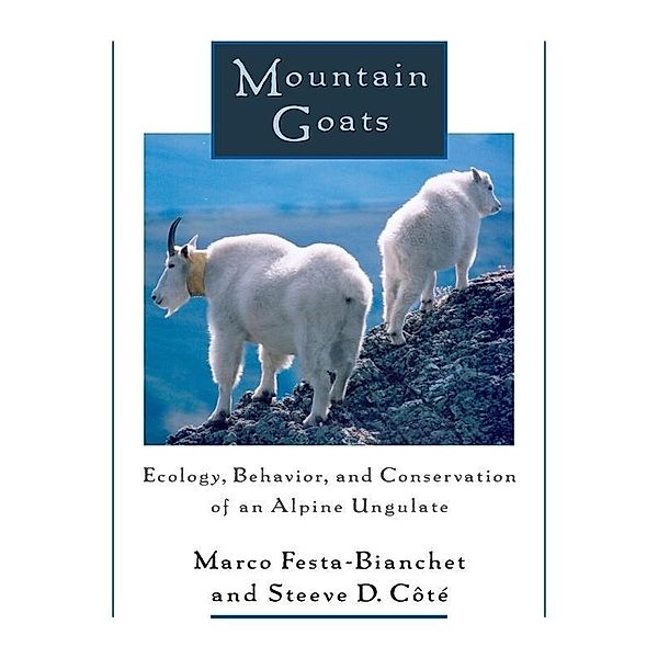 Mountain Goats, Marco Festa-Bianchet