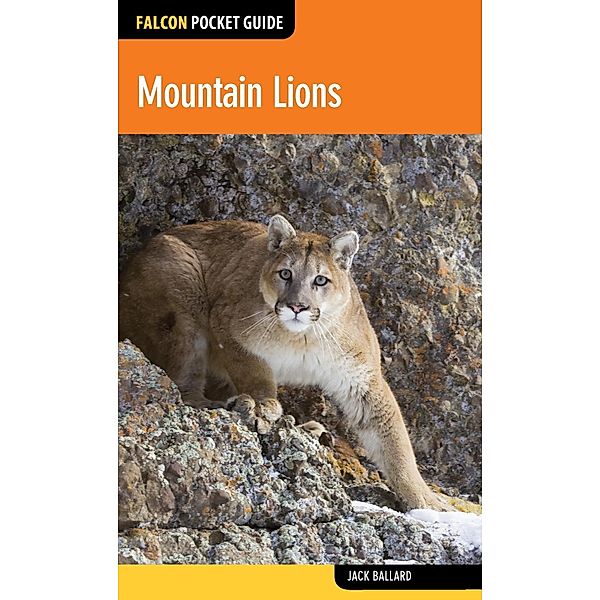 Mountain Lions / Falcon Pocket Guides, Jack Ballard