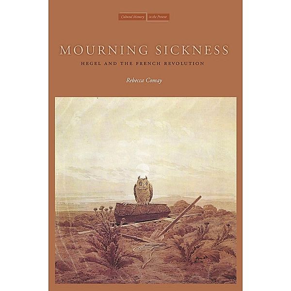 Mourning Sickness / Cultural Memory in the Present, Rebecca Comay