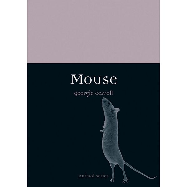 Mouse / Animal, Carroll Georgie Carroll