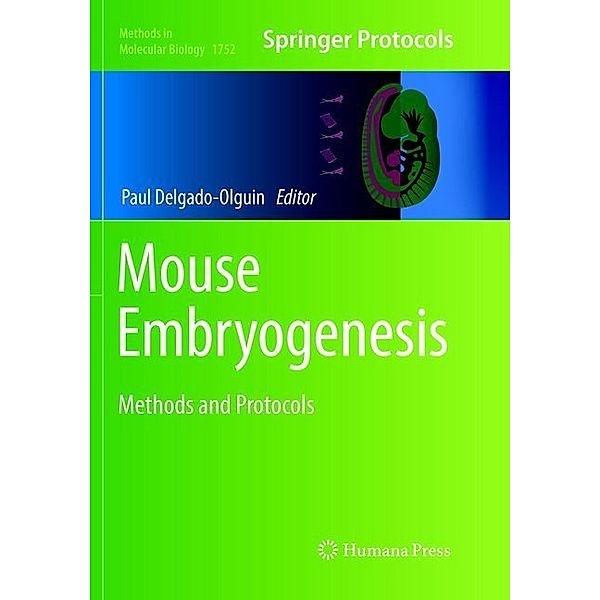 Mouse Embryogenesis