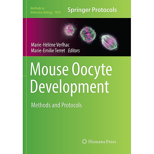 Mouse Oocyte Development