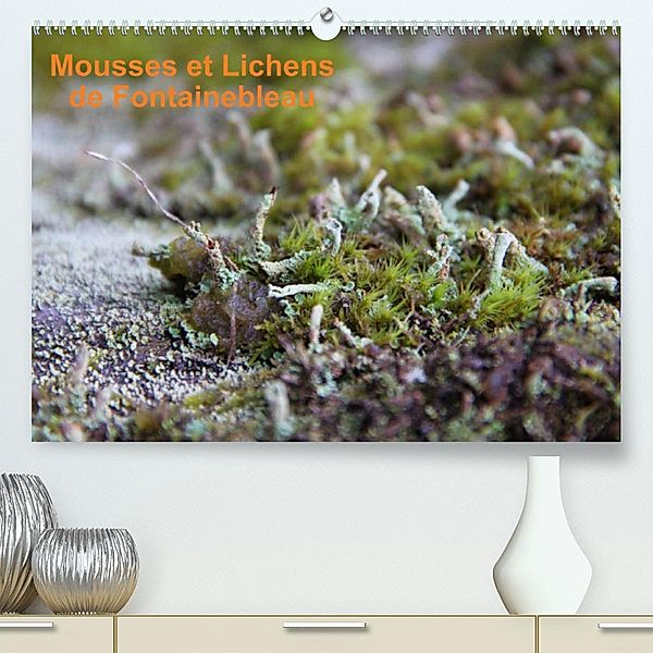 Mousses et lichens de Fontainebleau (Premium, hochwertiger DIN A2 Wandkalender 2023, Kunstdruck in Hochglanz), Greg Clouzeau