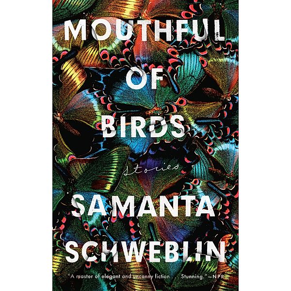 Mouthful of Birds, Samanta Schweblin