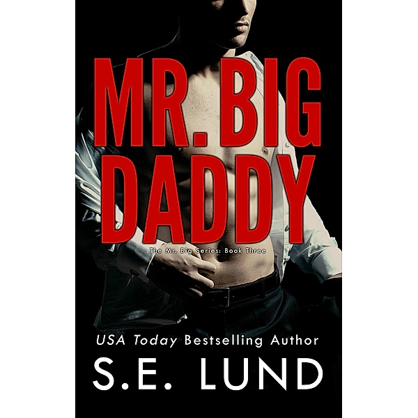 Mr. Big Daddy (The Mr. Big Series, #3) / The Mr. Big Series, S. E. Lund