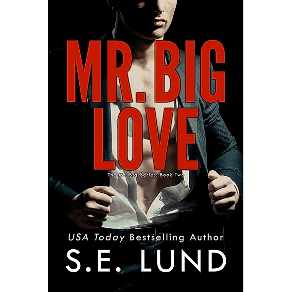 Mr. Big Love (The Mr. Big Series, #2) / The Mr. Big Series, S. E. Lund