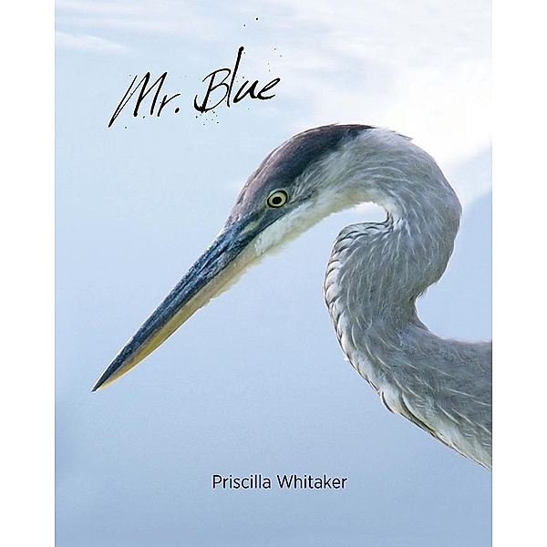 Mr. Blue / BQB Publishing, Priscilla Whitaker